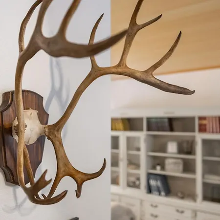 Cozy Winter House 아파트 로바니에미