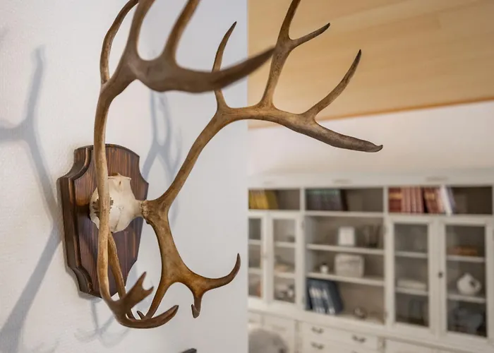 Cozy Winter House 公寓 罗瓦涅米