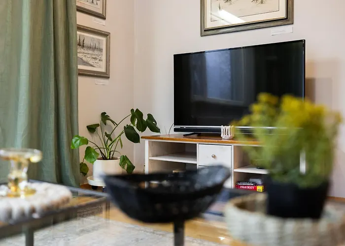 Cozy Winter House 罗瓦涅米